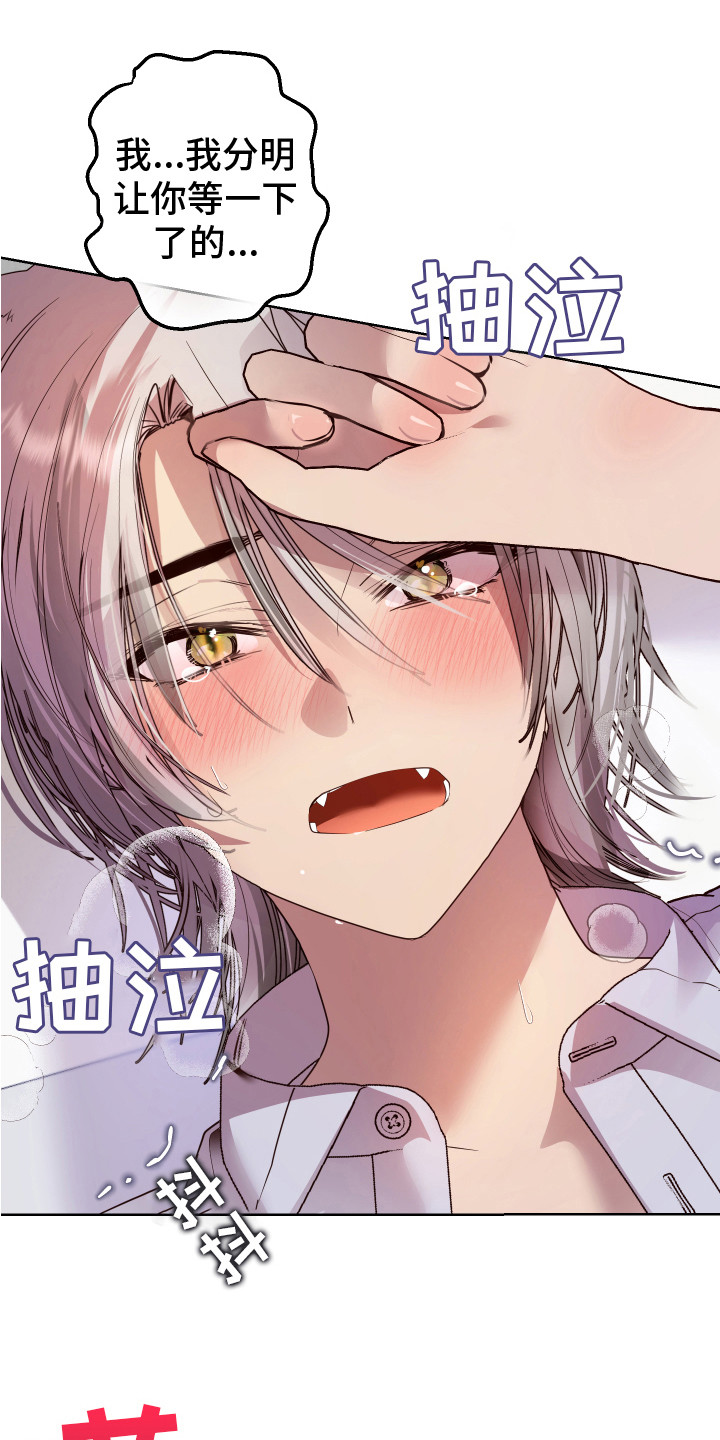 第9章：哭泣 12