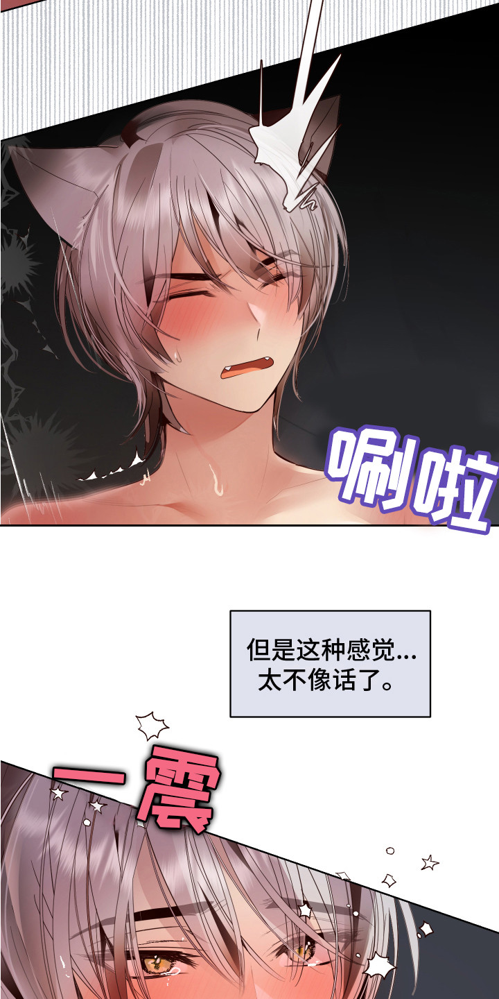 第13章：很华丽 2
