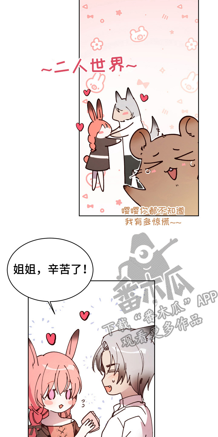 第13章：很华丽 17