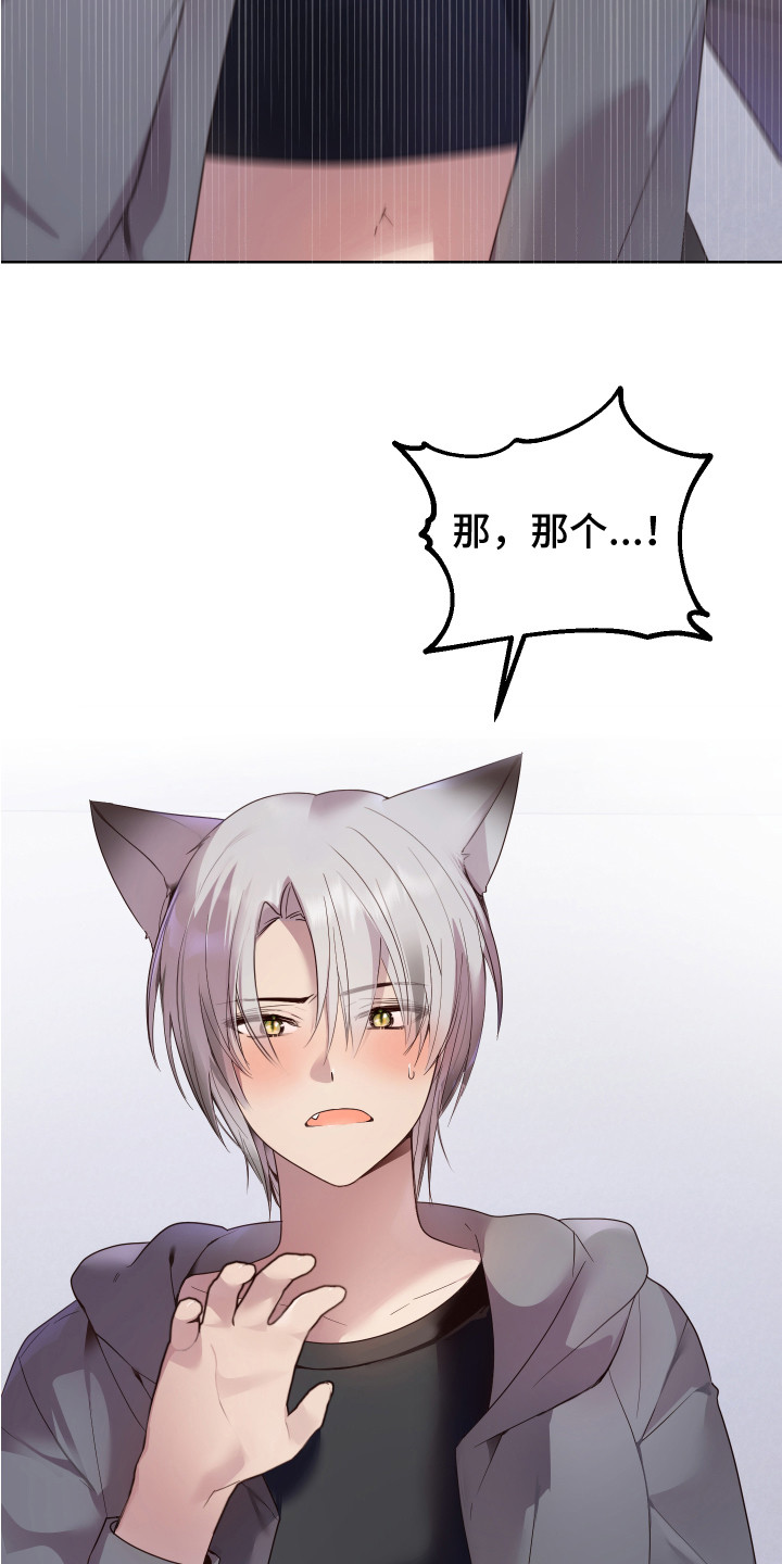 第2章： 一见钟情5