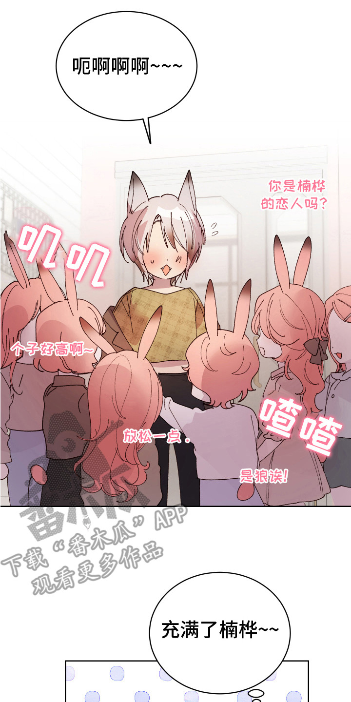 第15章：非常喜欢（完结）13