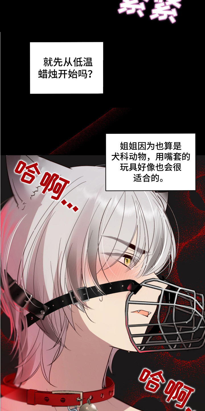 第6章：癖好12