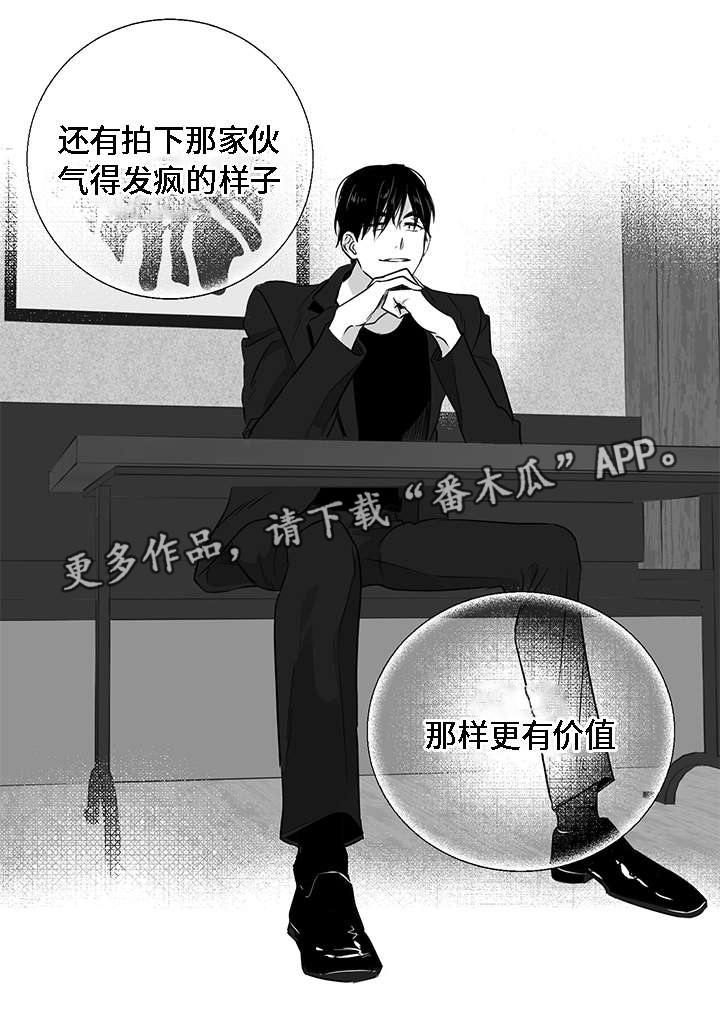 第6章：提议11