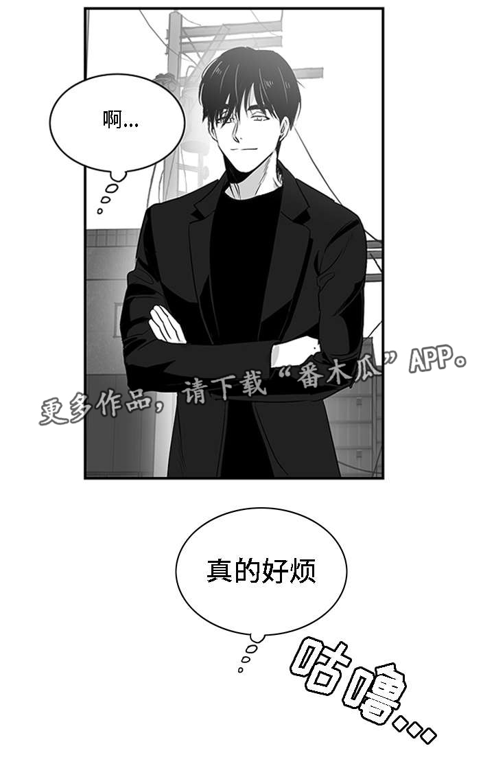 第6章：提议5