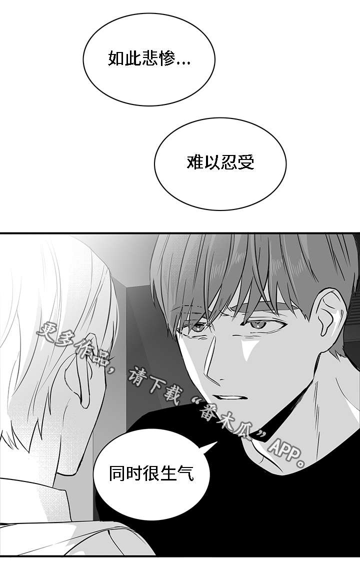 第24章：摊牌10
