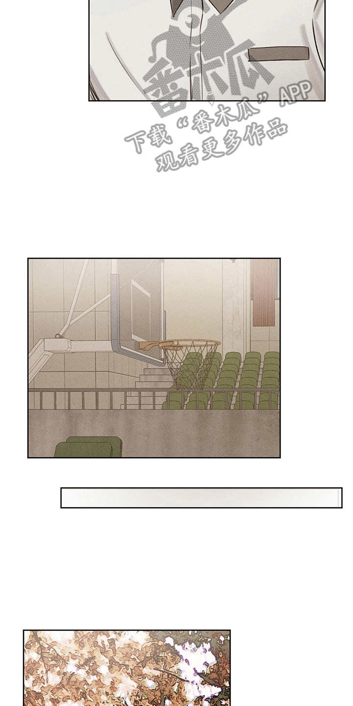 第19章：辅助5
