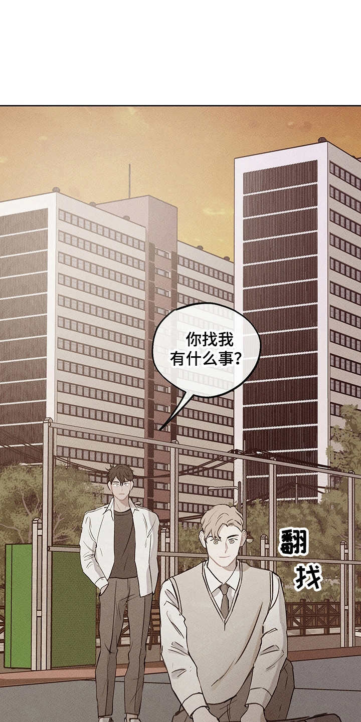 第19章：辅助9