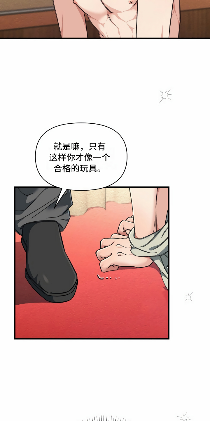 第22章：经济舱玩具20