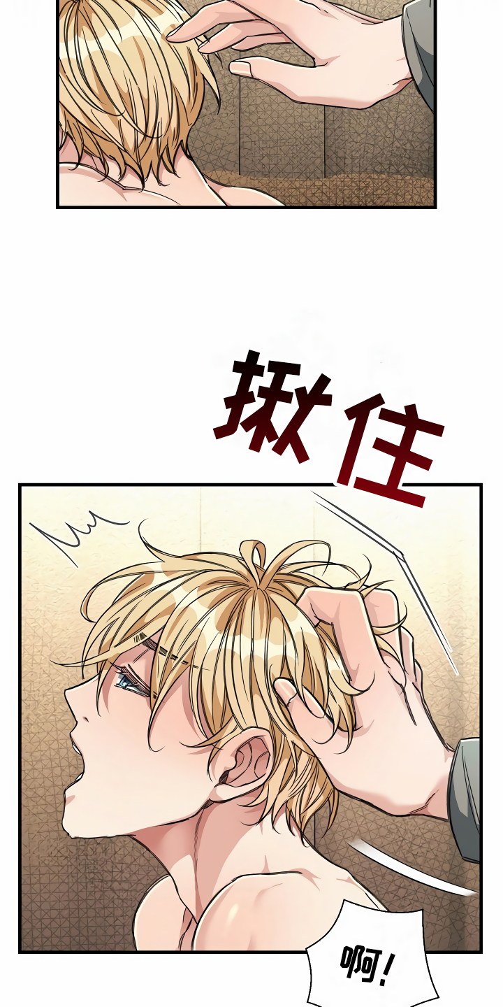 第22章：经济舱玩具11