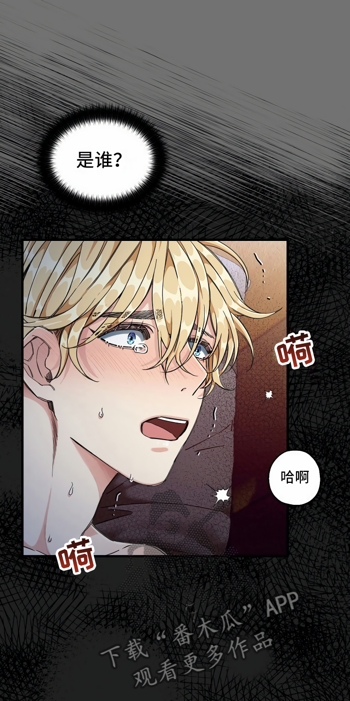 第7章：三个选择14