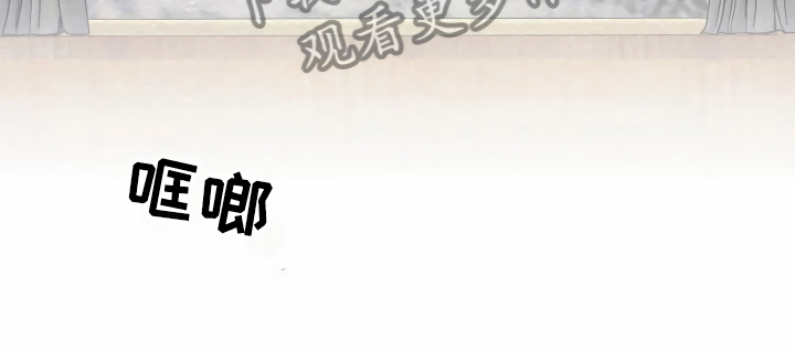 第16章：头等舱8