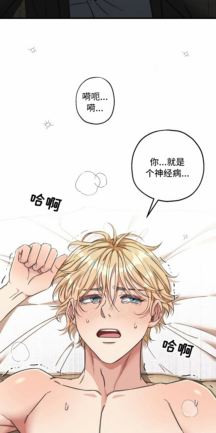 第14章：那个疯子12