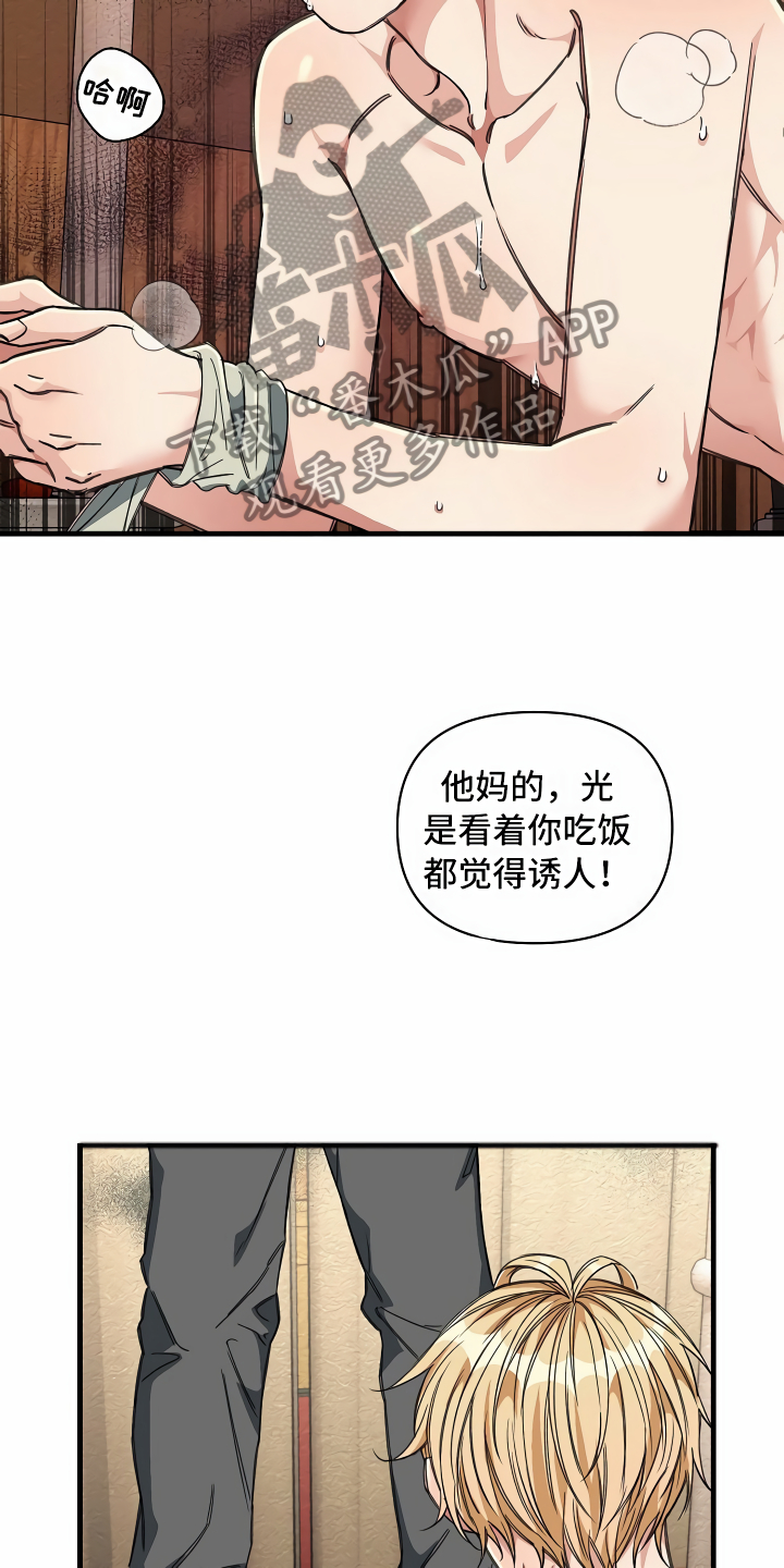 第22章：经济舱玩具8