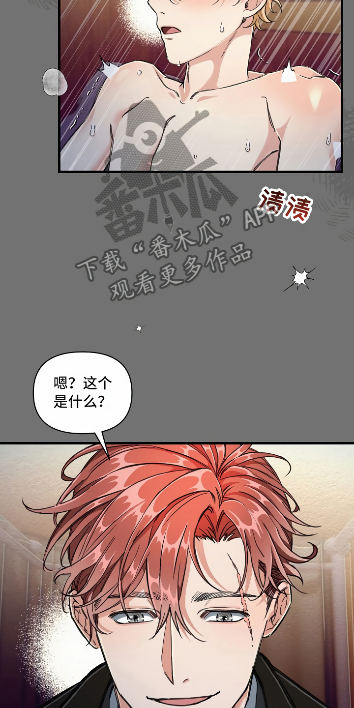 第6章：隐藏的宝物17