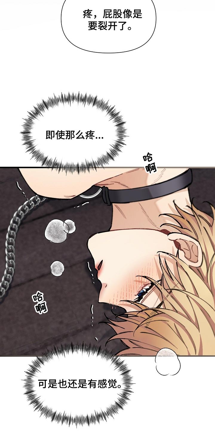 第65章：【第二季】狗的本分20