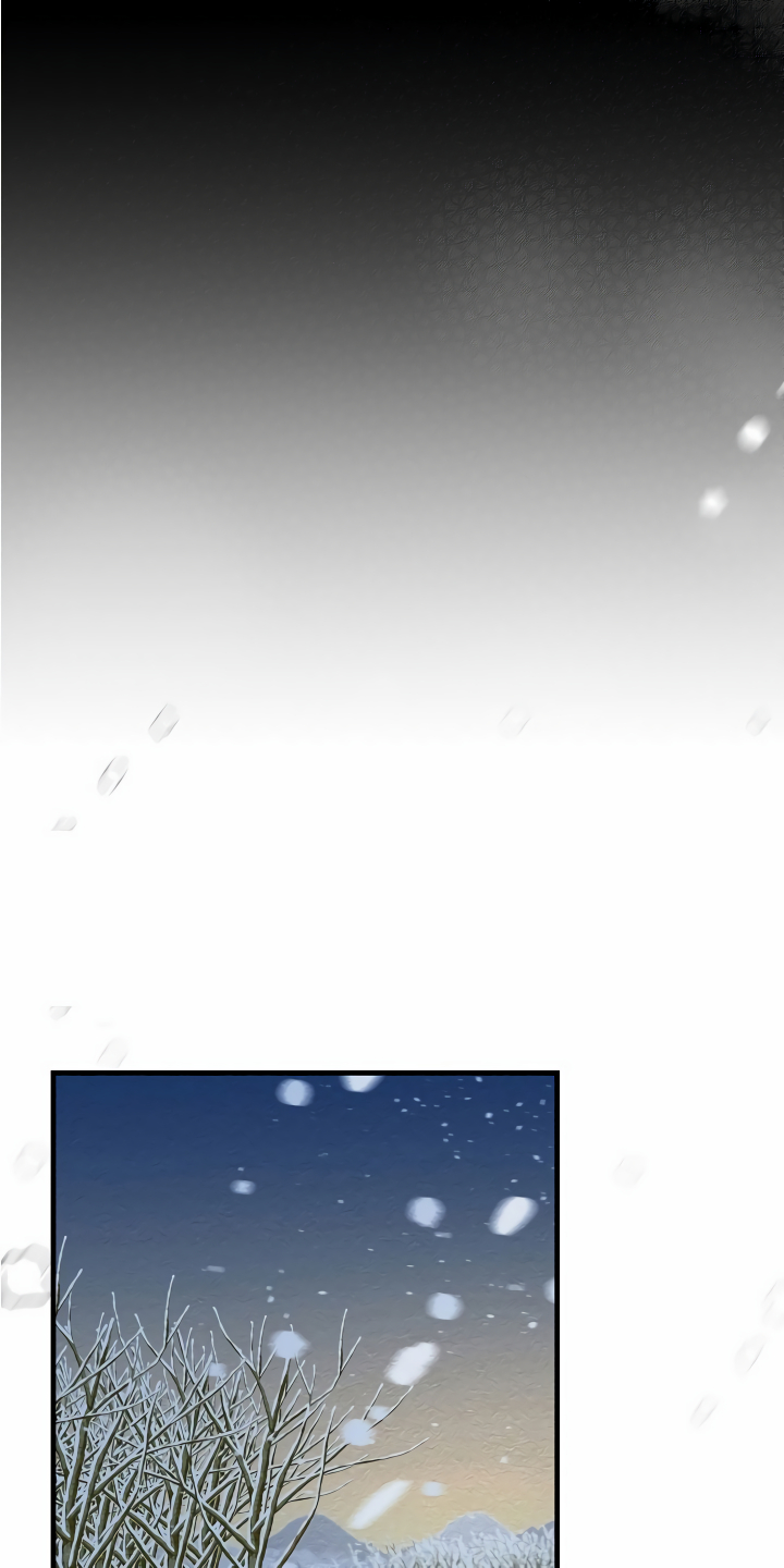 第22章：经济舱玩具23