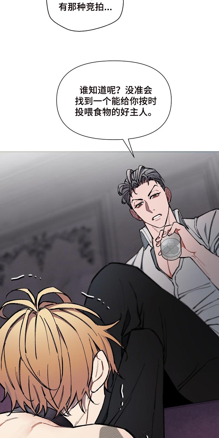 第70章：【第二季】合适的主人23