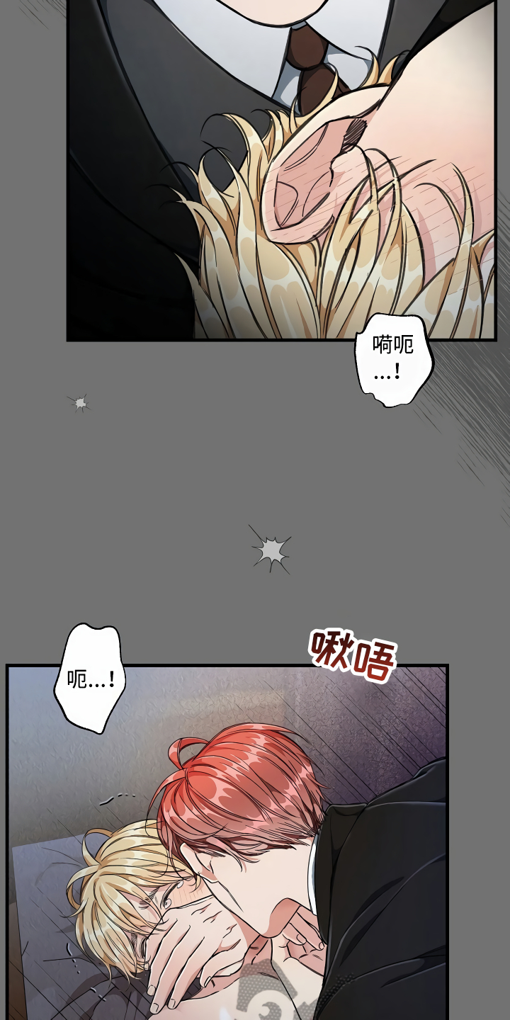 第7章：三个选择29