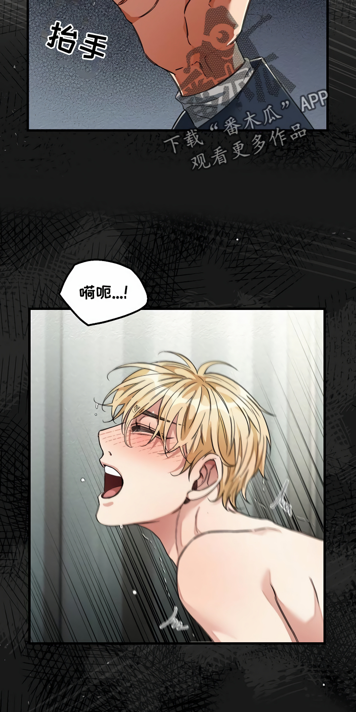 第36章：什么目的10