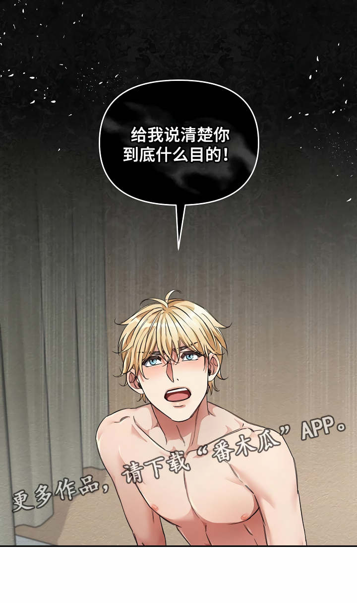 第36章：什么目的22