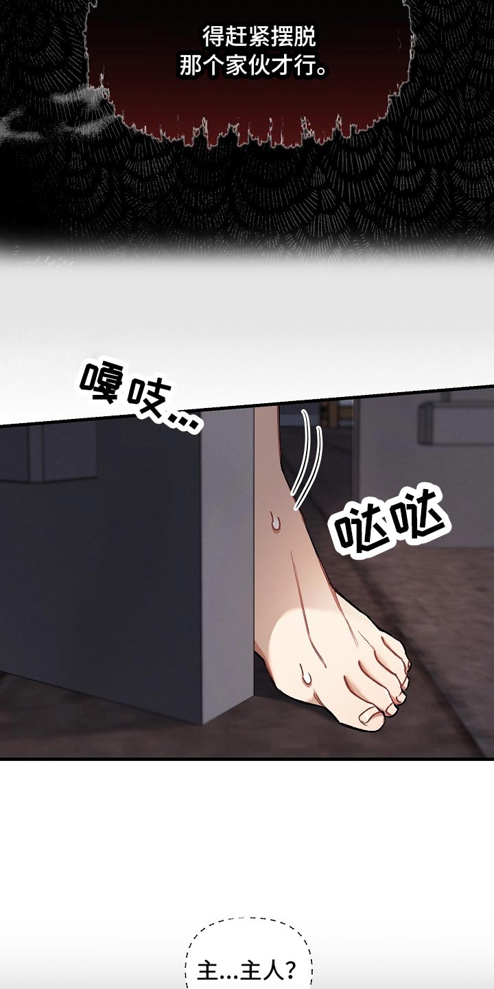 第61章：【第二季】测试9
