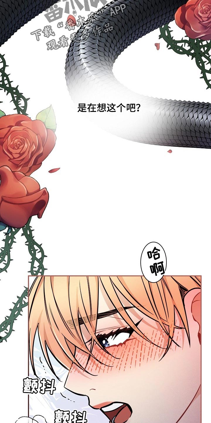 第80章：【第二季】只是想要找回珠子6