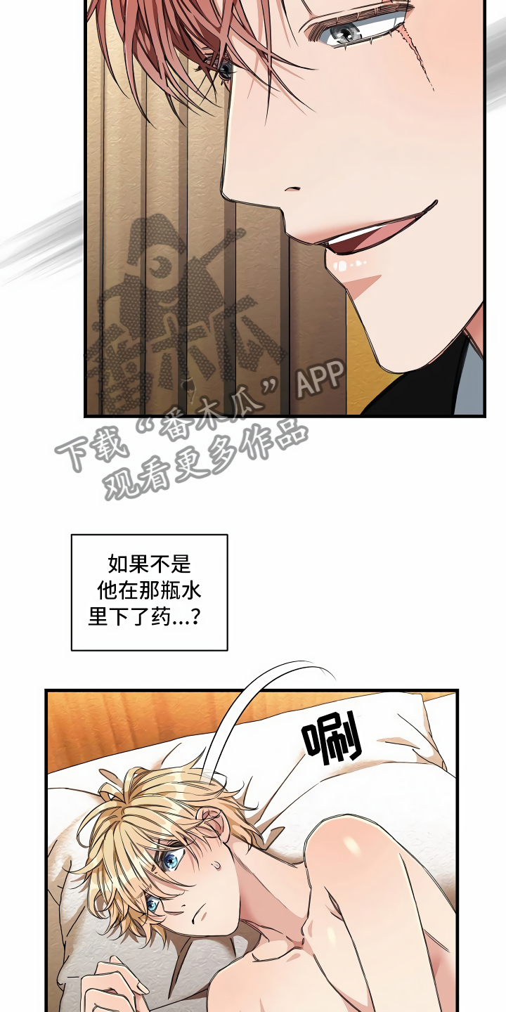 第15章：最好的选择1