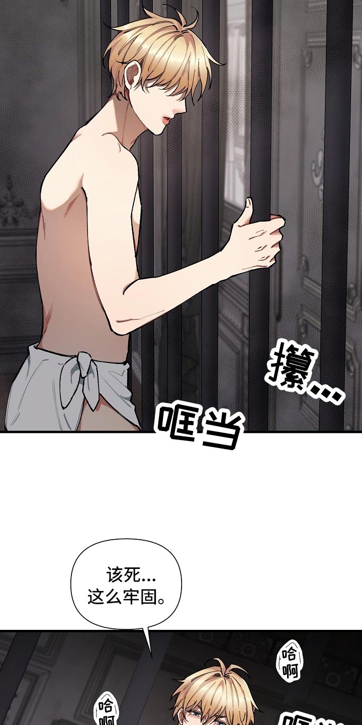 第61章：【第二季】测试15
