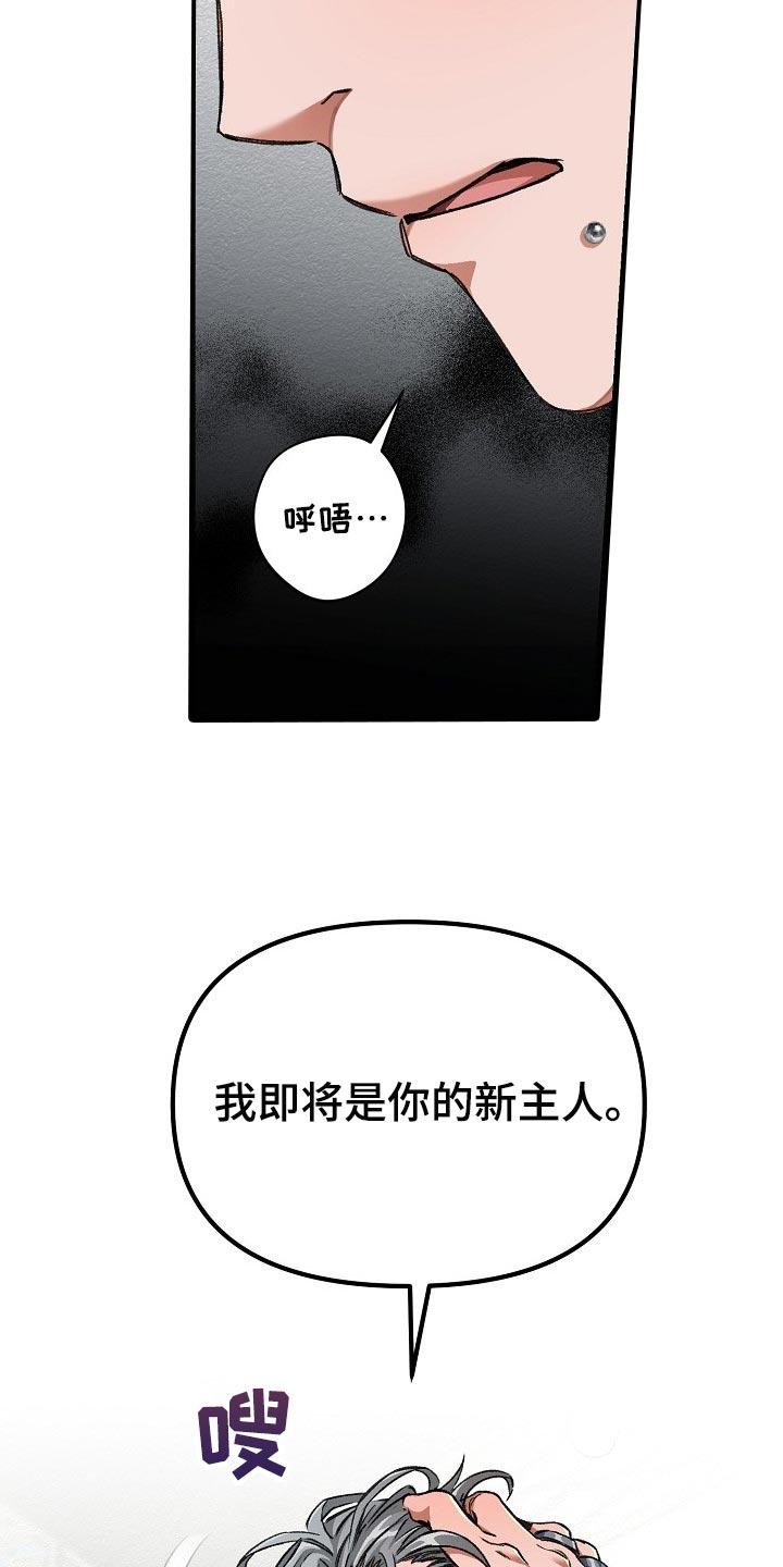 第55章：新主人18