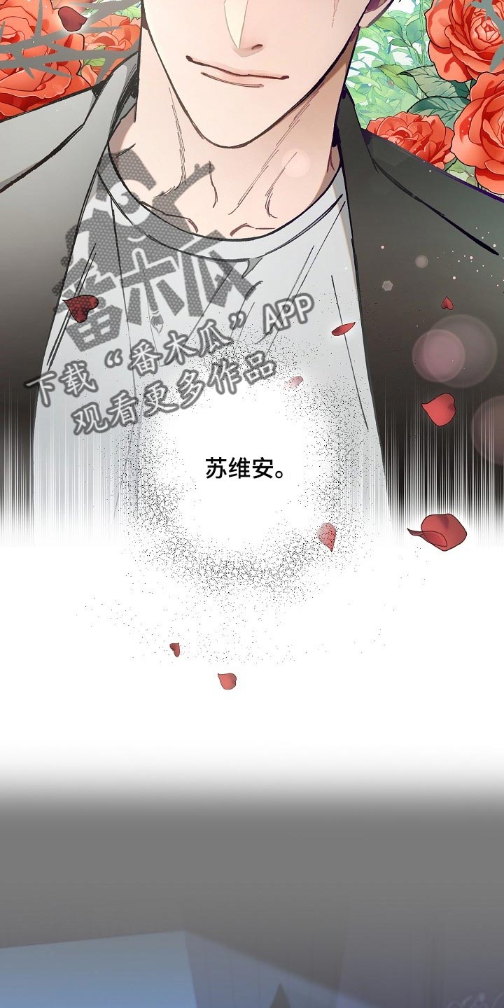 第68章：【第二季】毕竟是市场8