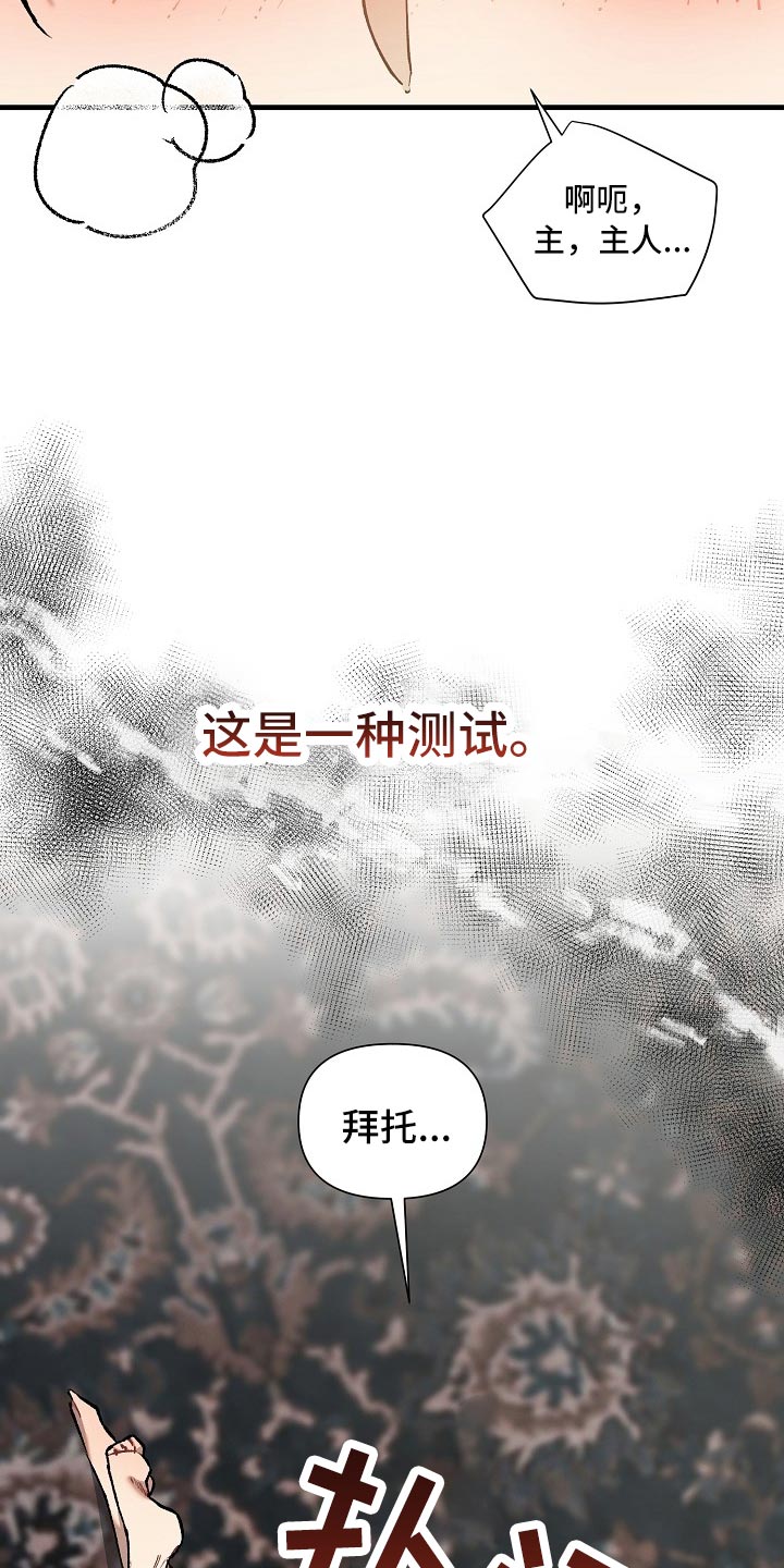 第61章：【第二季】测试26