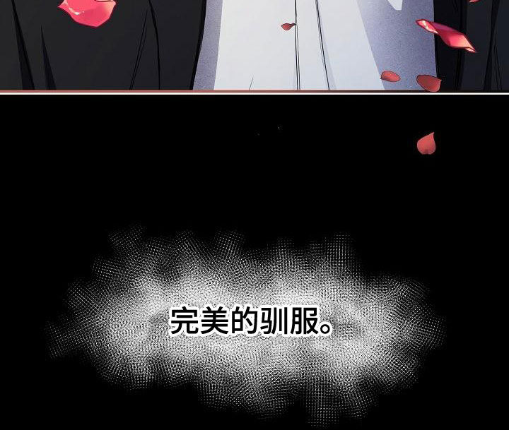 第101章：【第二季完结】完美的驯服35