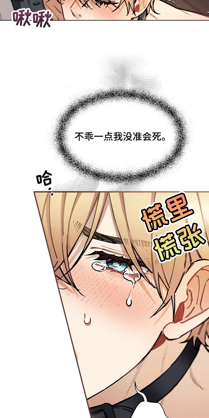 第64章：【第二季】正式开始17