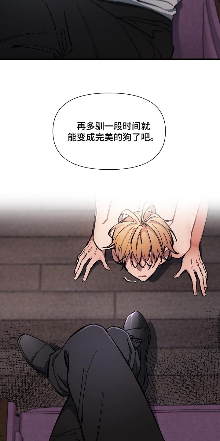 第70章：【第二季】合适的主人13