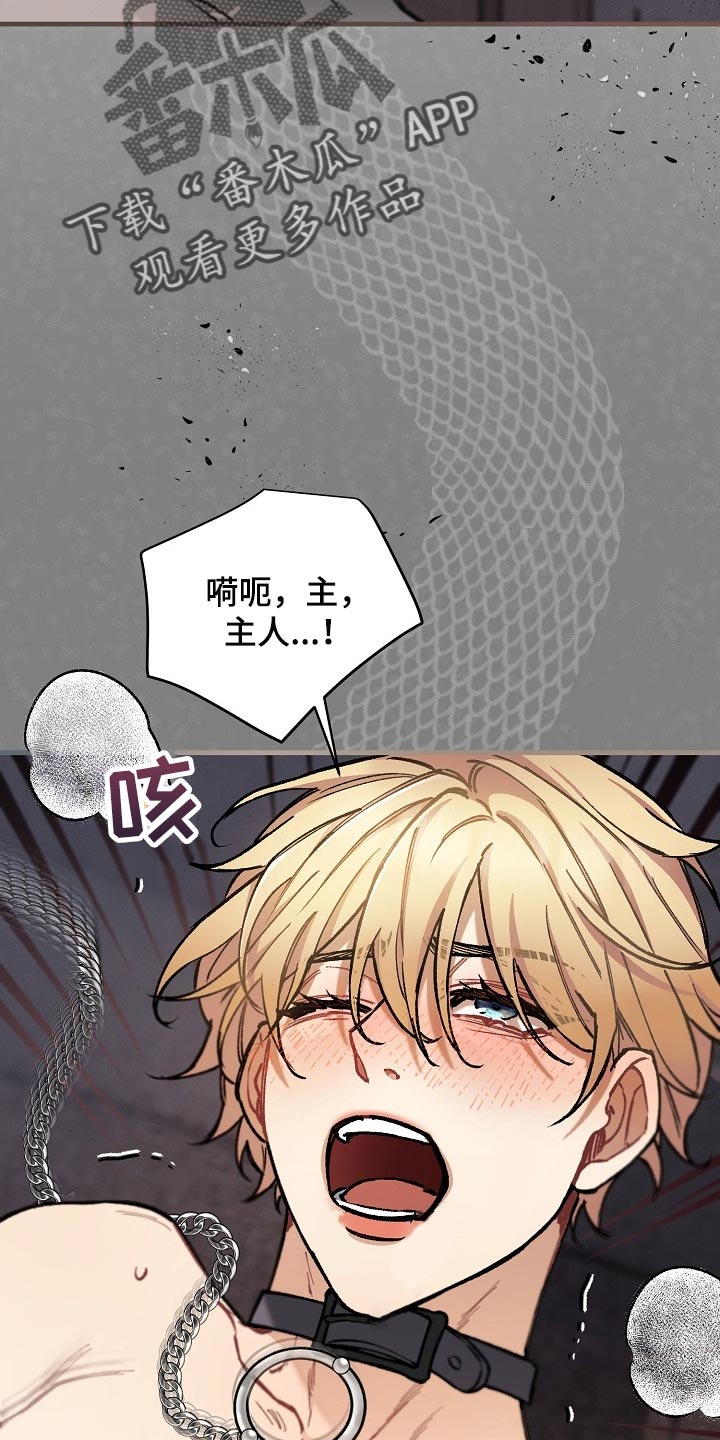 第64章：【第二季】正式开始12