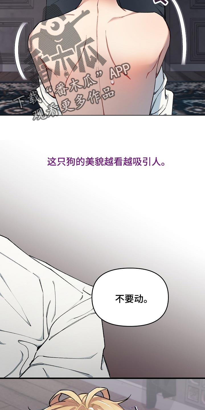 第59章：【第二季】不错的选择24