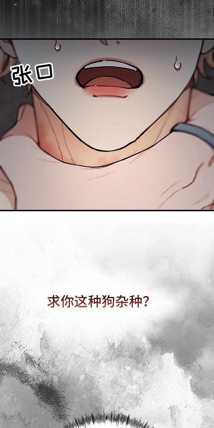 第63章：【第二季】最后的挣扎和机会20