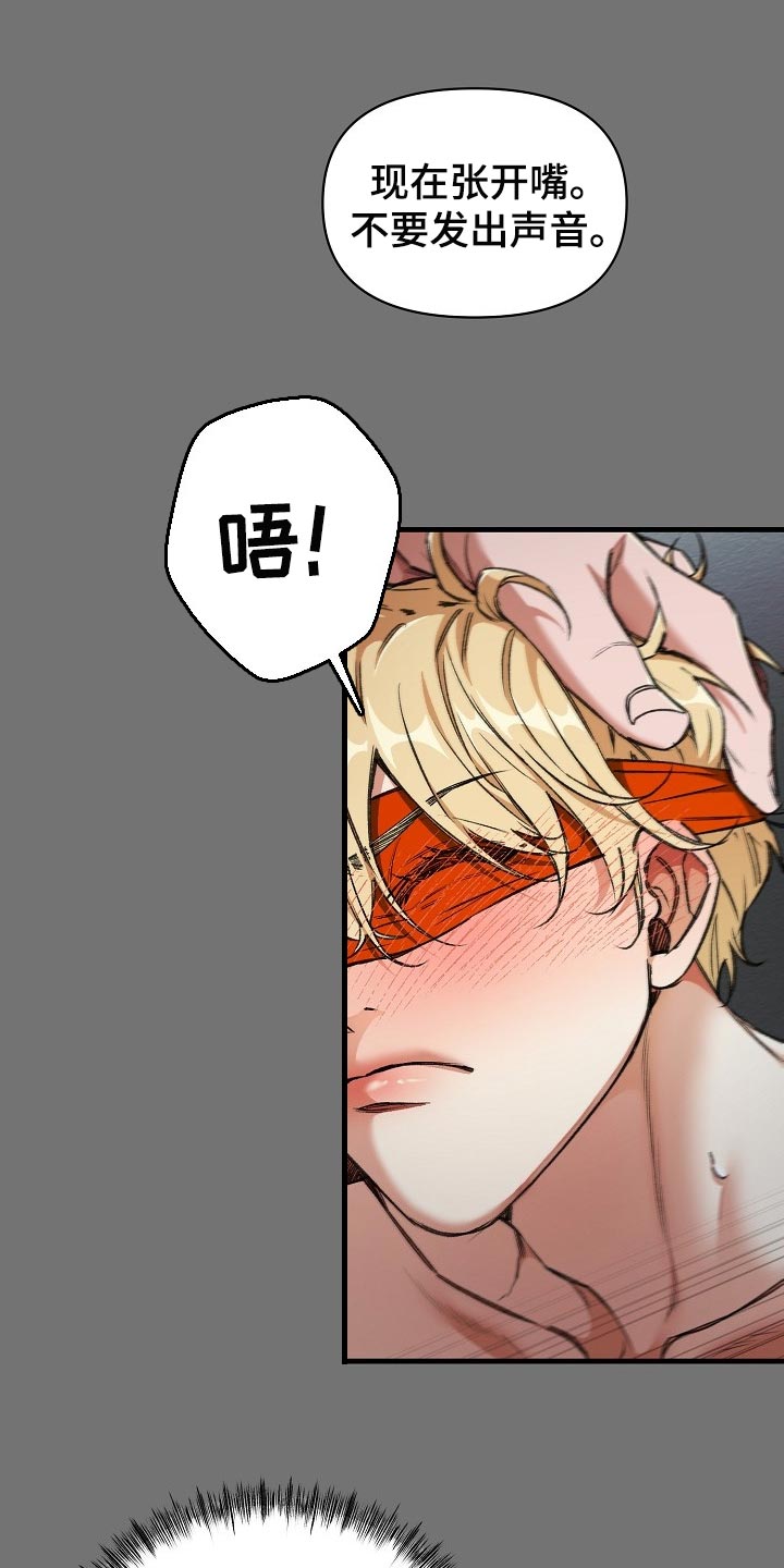第53章：肯定有什么目的16