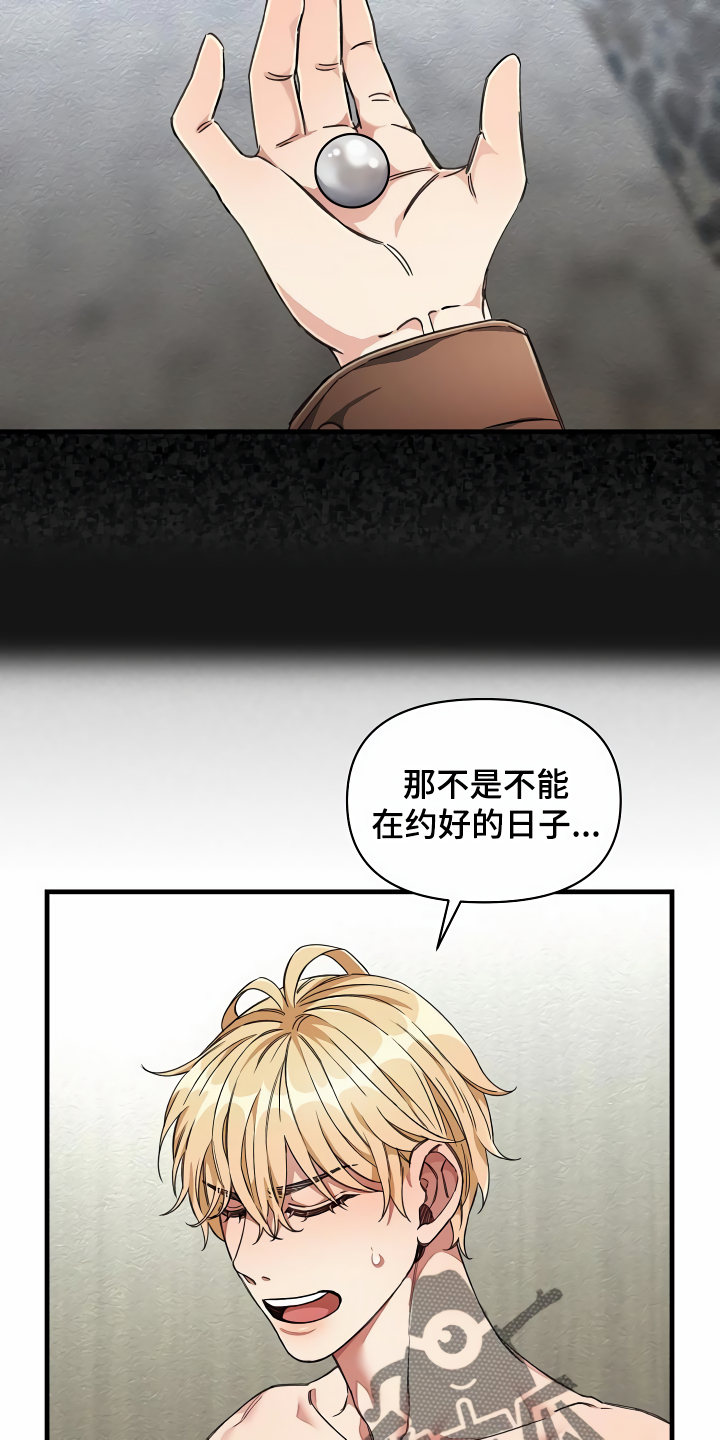 第41章：讨我欢心13