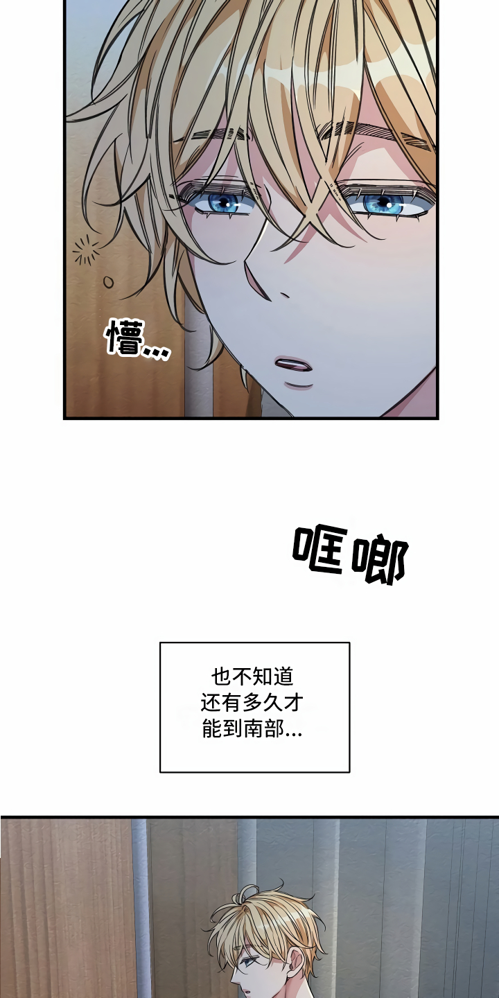 第22章：经济舱玩具25