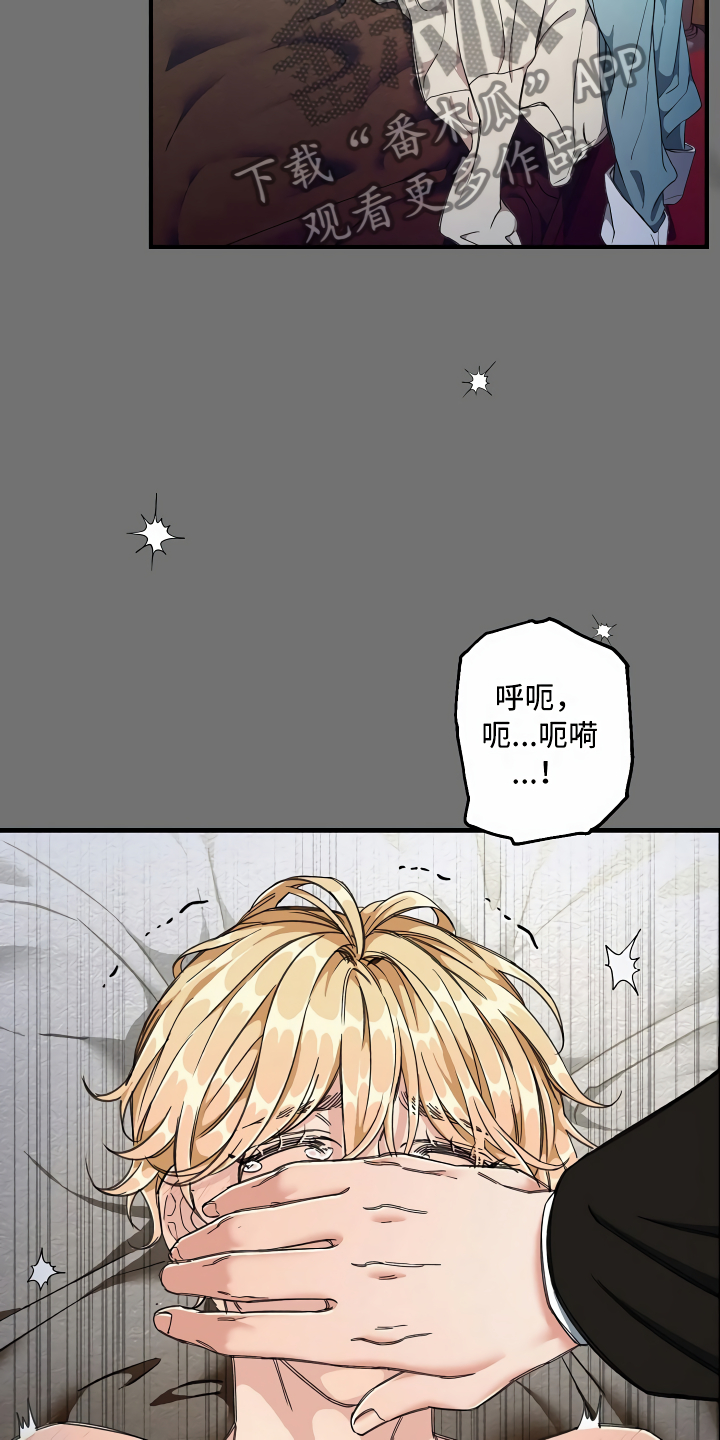 第7章：三个选择23