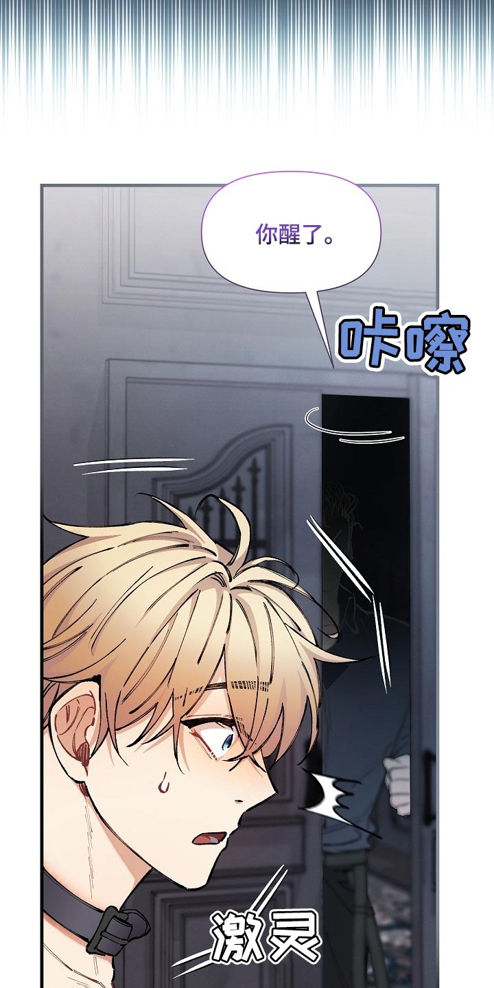 第68章：【第二季】毕竟是市场20