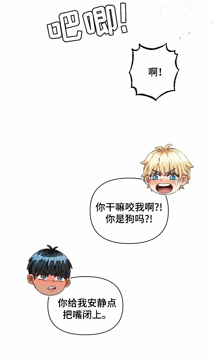 第42章：约定20