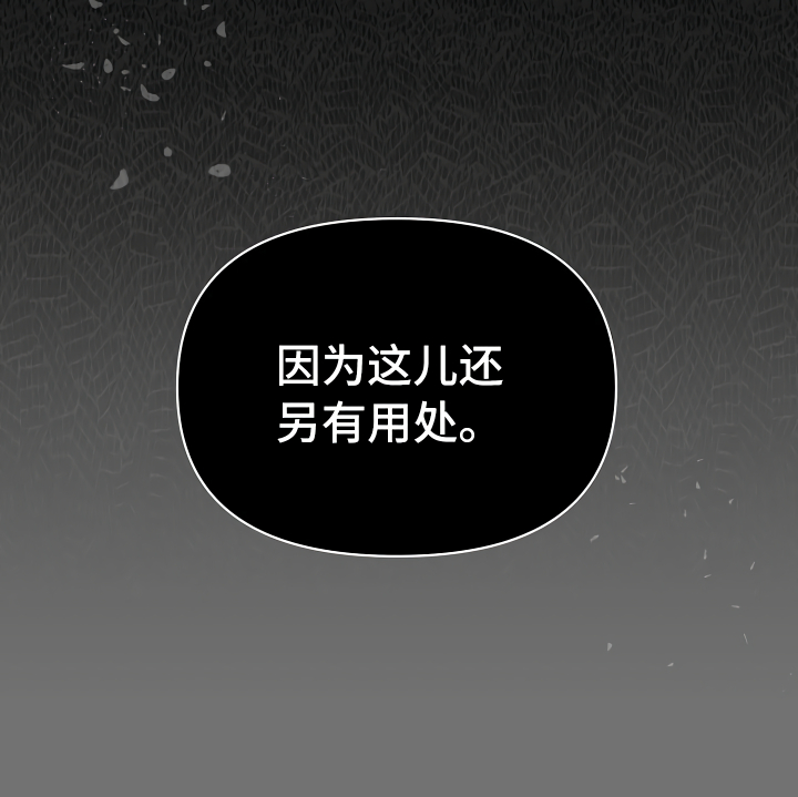 第8章：另有用处33