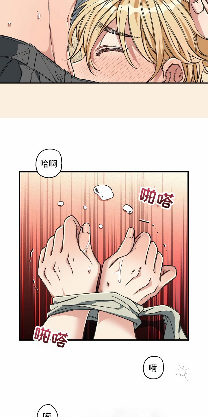 第22章：经济舱玩具15