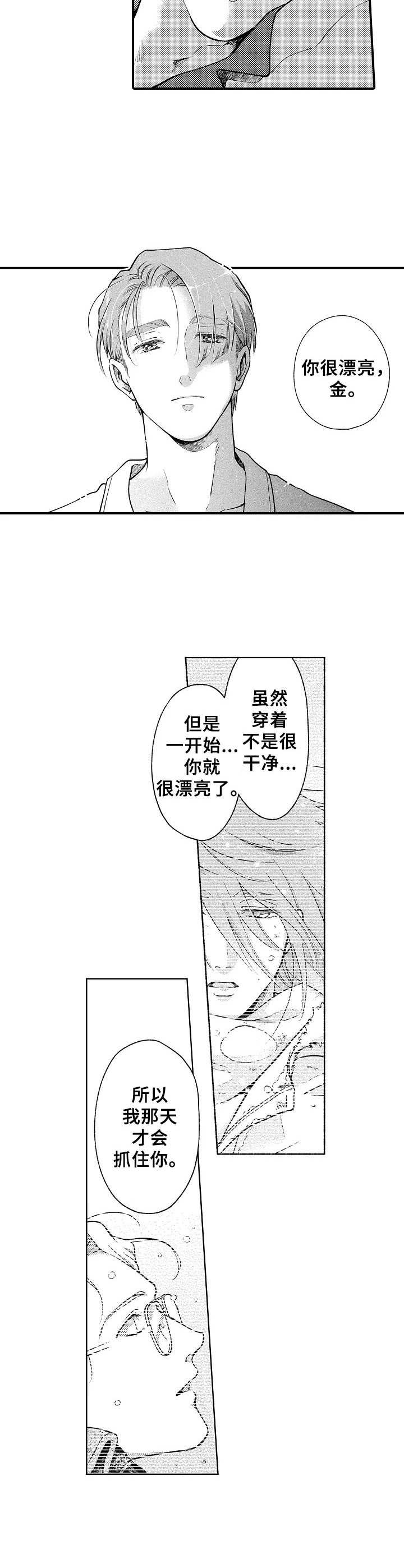 第26章：心意1