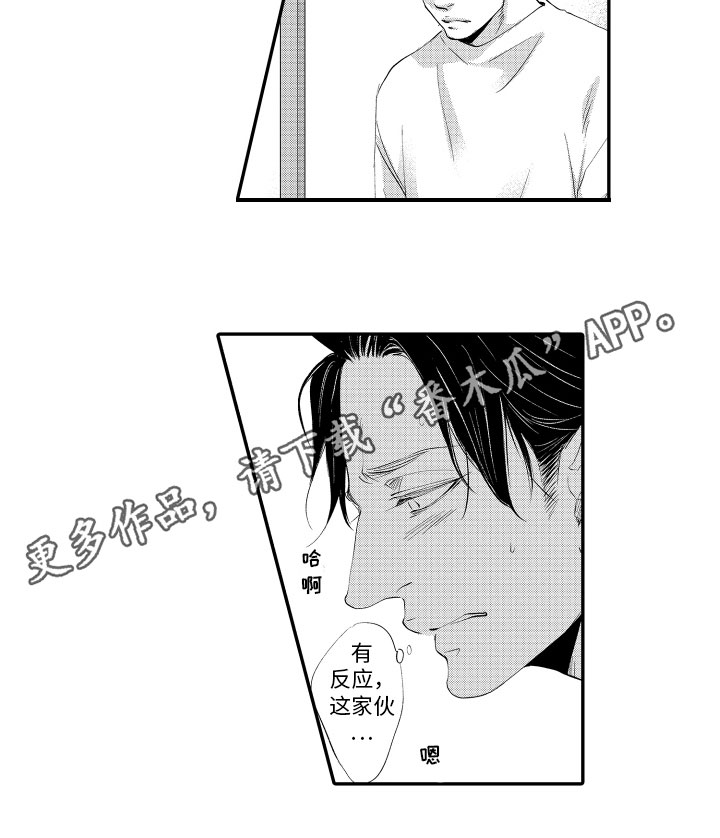 第11章：一起学习12