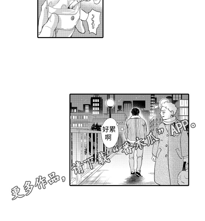 第6章：拍摄计划12