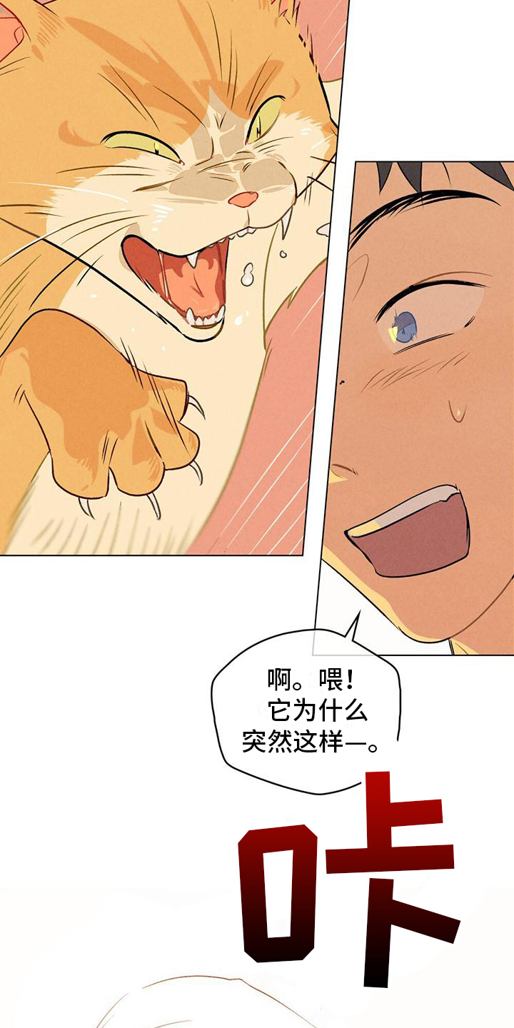 第15章：名字6