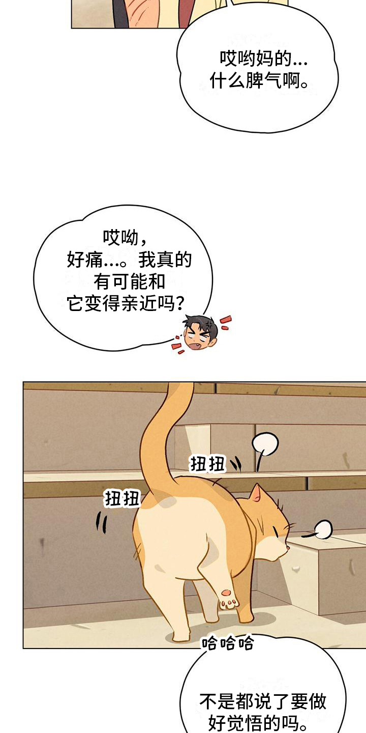 第15章：名字9